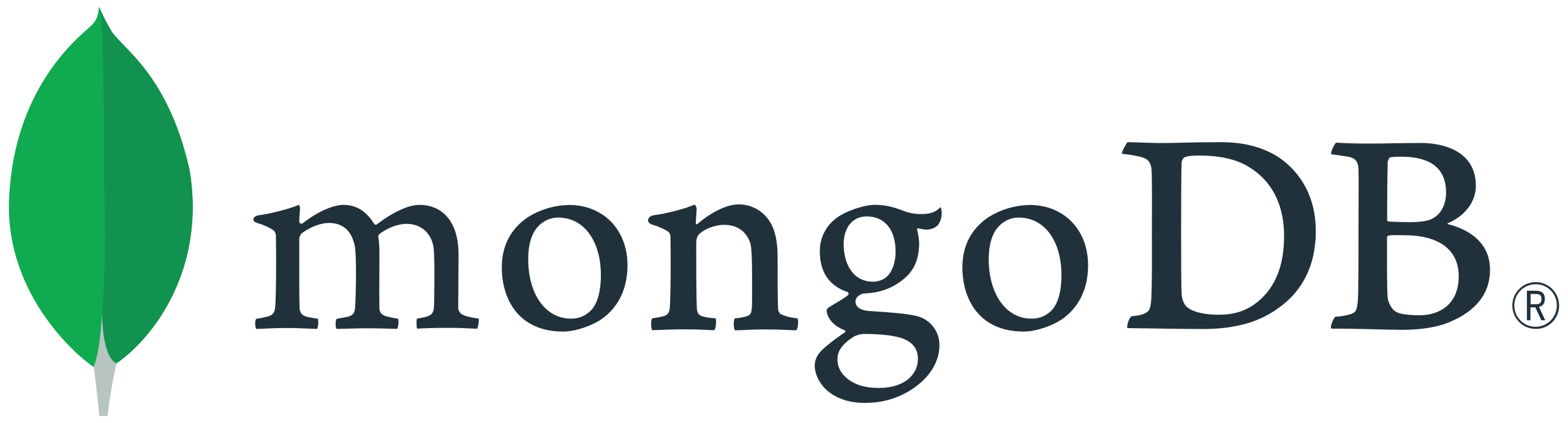 Technology Partner Logo